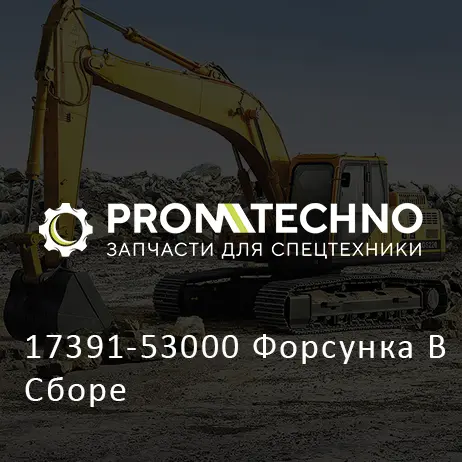 17391-53000 Форсунка В Сборе