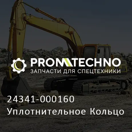 24341-000160 Уплотнительное Кольцо