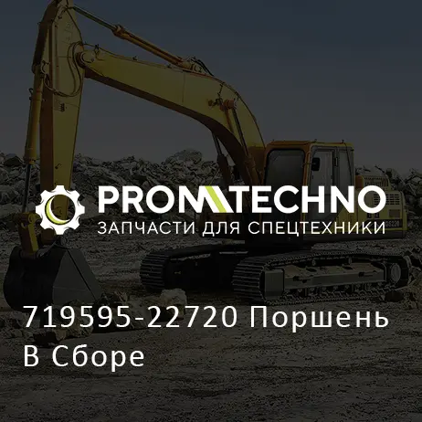 719595-22720 Поршень В Сборе