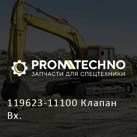 119623-11100 Клапан Вх.
