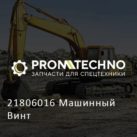 21806016 Машинный Винт