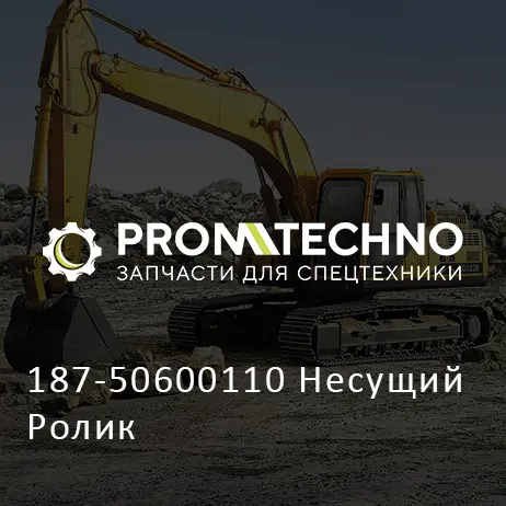 187-50600110 Несущий Ролик