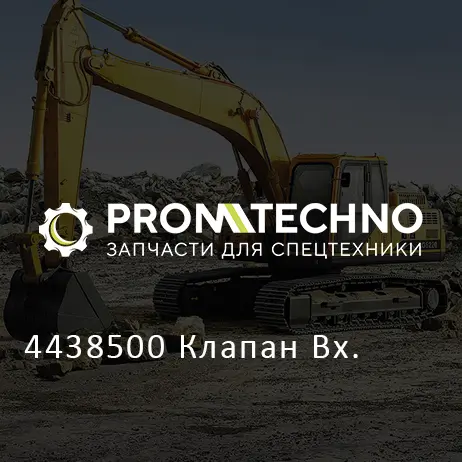 4438500 Клапан Вх.