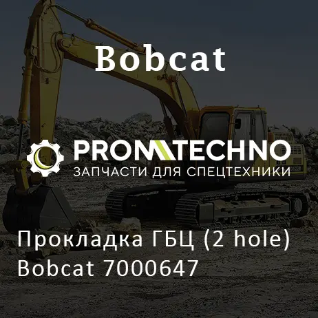 Прокладка ГБЦ (2 hole) Bobcat 7000647