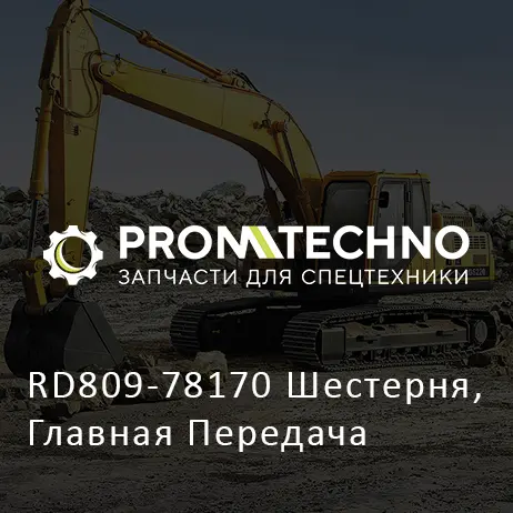 RD809-78170 Шестерня, Главная Передача