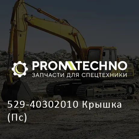 529-40302010 Крышка (Пс)