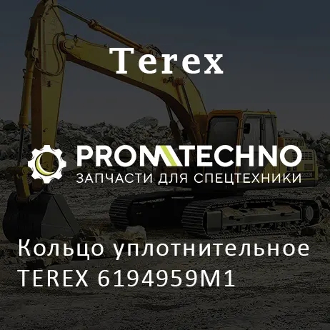 Кольцо уплотнительное TEREX 6194959M1