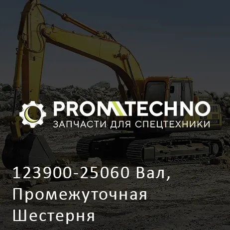 123900-25060 Вал, Промежуточная Шестерня