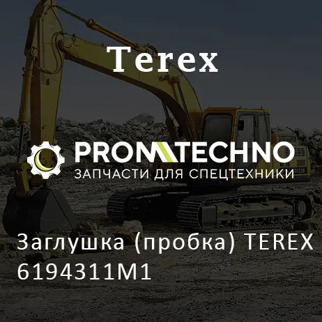 Заглушка (пробка) TEREX 6194311M1