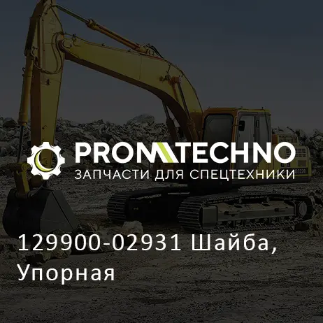 129900-02931 Шайба, Упорная