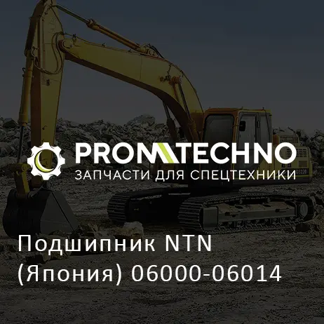 Подшипник NTN (Япония) 06000-06014