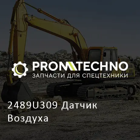 2489U309 Датчик Воздуха