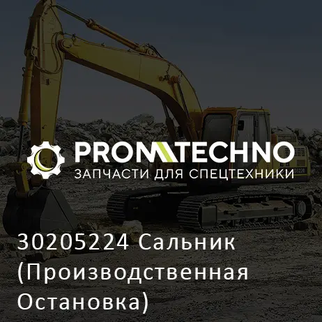 30205224 Сальник (Производственная Остановка)