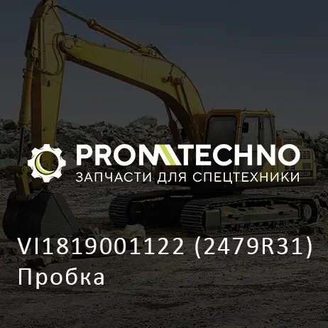 VI1819001122 (2479R31) Пробка