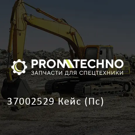 37002529 Кейс (Пс)