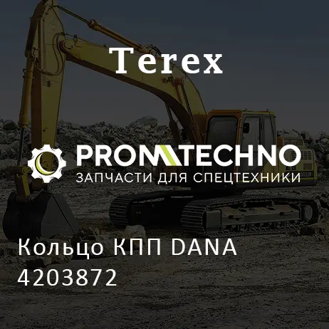 Кольцо КПП DANA 4203872