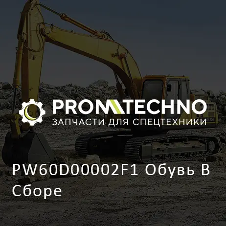 PW60D00002F1 Обувь В Сборе