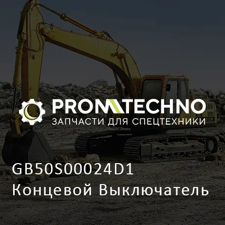 GB50S00024D1 Концевой Выключатель