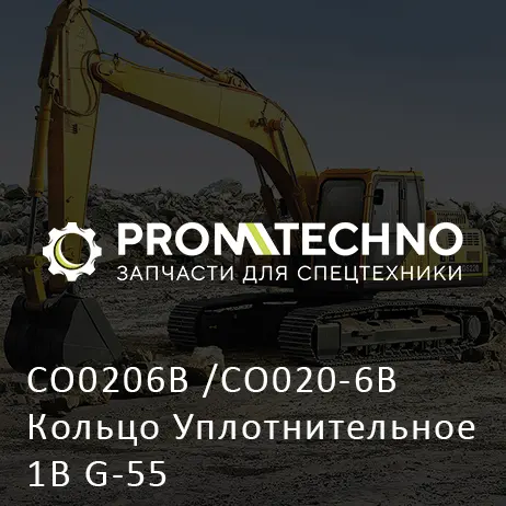 CO0206B /CO020-6B Кольцо Уплотнительное 1B G-55