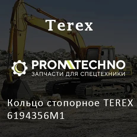 Кольцо стопорное TEREX 6194356M1