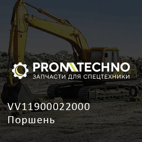 VV11900022000 Поршень