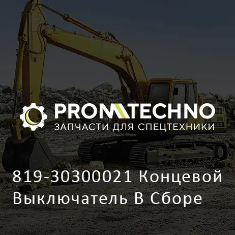 819-30300021 Концевой Выключатель В Сборе