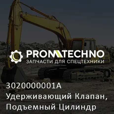 3020000001A Удерживающий Клапан, Подъемный Цилиндр
