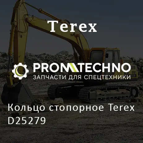Кольцо стопорное Terex D25279