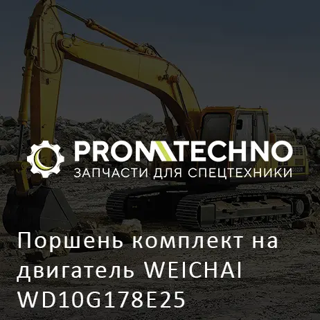 Поршень комплект на двигатель WEICHAI WD10G178E25