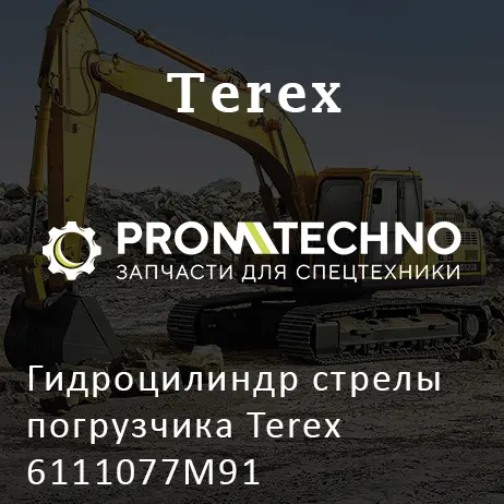 Гидроцилиндр стрелы погрузчика Terex 6111077M91