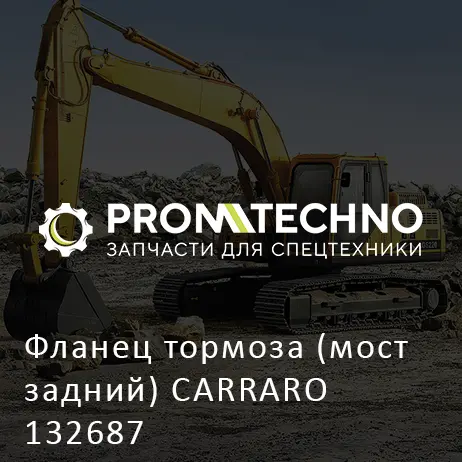 Фланец тормоза (мост задний) CARRARO 132687
