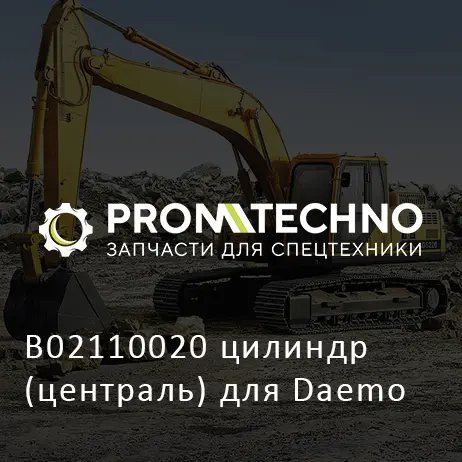 B02110020 цилиндр (централь) для Daemo