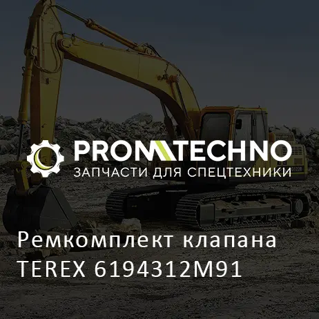 Ремкомплект клапана TEREX 6194312M91