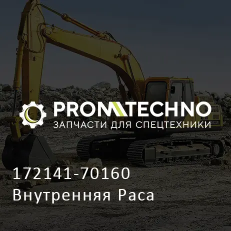 172141-70160 Внутренняя Раса