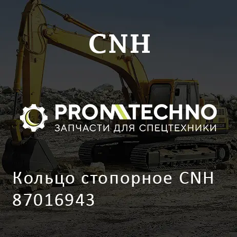 Кольцо стопорное CNH 87016943