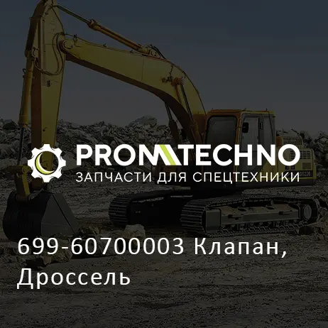 699-60700003 Клапан, Дроссель