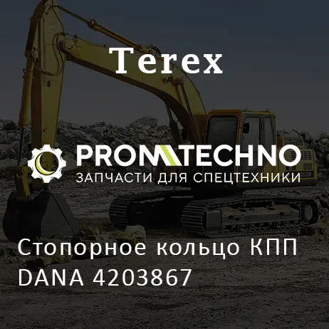 Стопорное кольцо КПП DANA 4203867