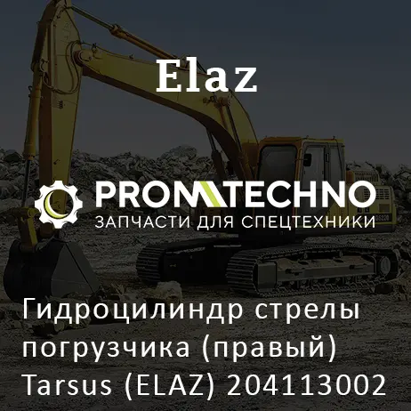 Гидроцилиндр стрелы погрузчика (правый) Tarsus (ELAZ) 204113002