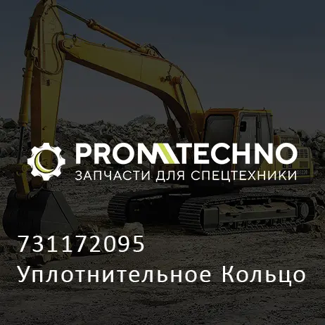 731172095 Уплотнительное Кольцо