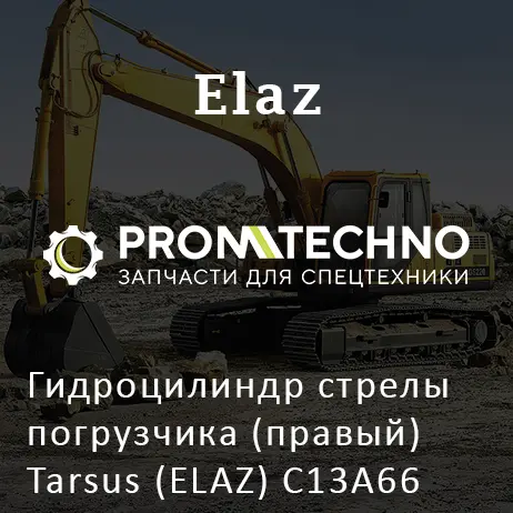 Гидроцилиндр стрелы погрузчика (правый) Tarsus (ELAZ) C13A66