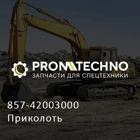 857-42003000 Приколоть