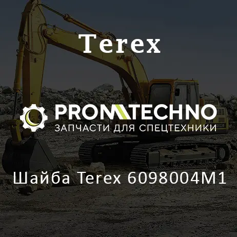 Шайба Terex 6098004M1