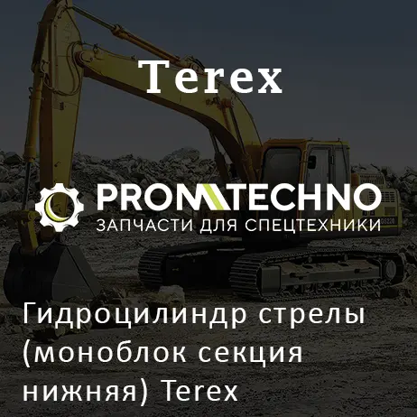 Гидроцилиндр стрелы (моноблок секция нижняя) Terex 6501609000
