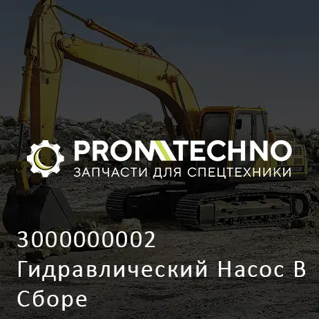 3000000002 Гидравлический Насос В Сборе
