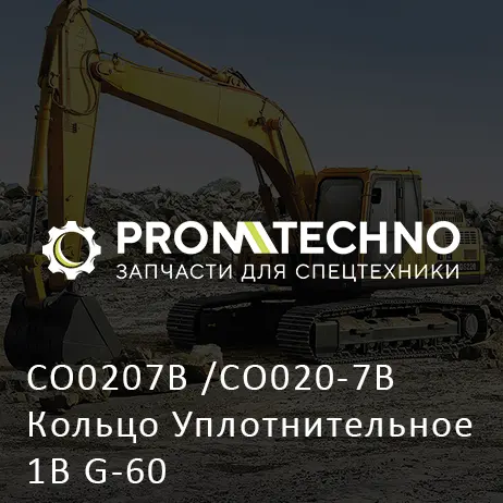CO0207B /CO020-7B Кольцо Уплотнительное 1B G-60