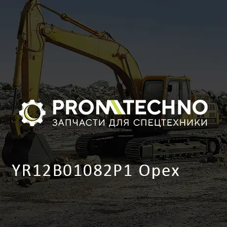 YR12B01082P1 Орех