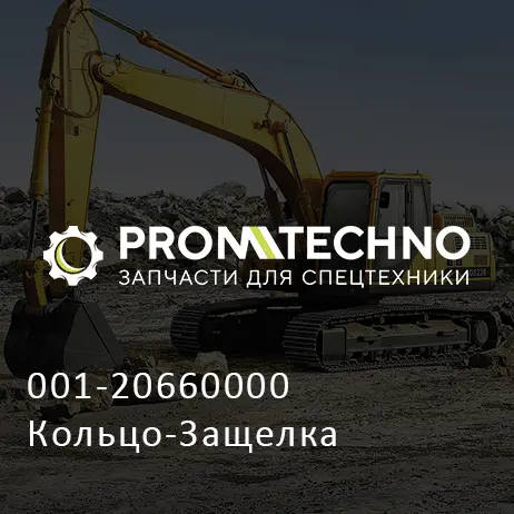 001-20660000 Кольцо-Защелка