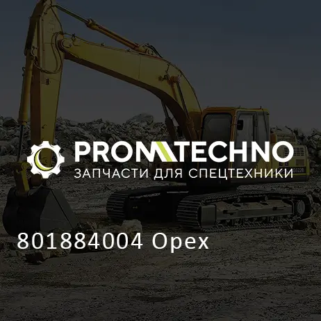 801884004 Орех