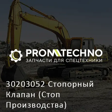 30203052 Стопорный Клапан (Стоп Производства)