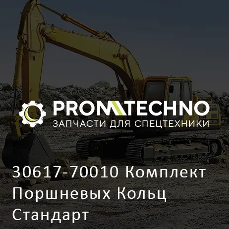 30617-70010 Комплект Поршневых Кольц Стандарт